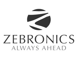 Zebronics India Private Limited